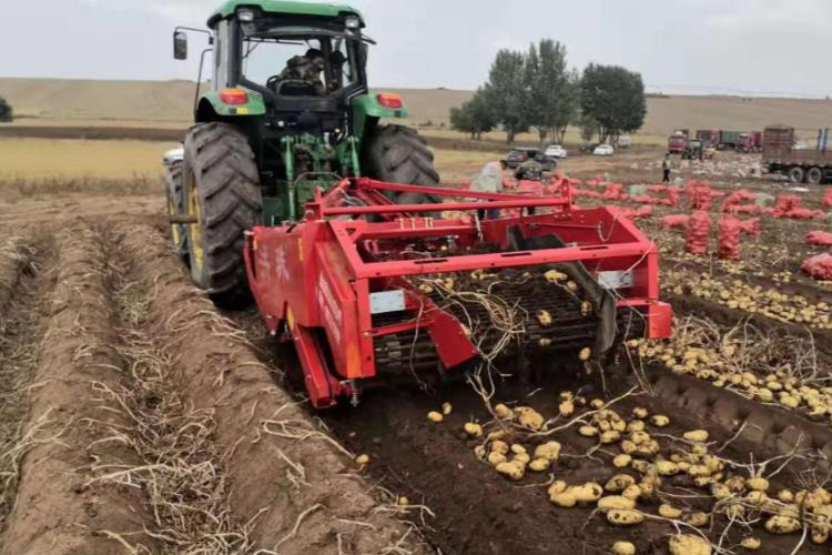 土豆馬鈴薯收獲機